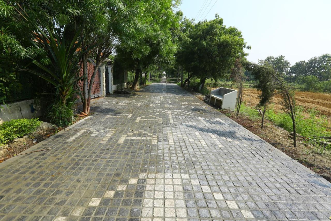 Mann The Palm Retreat Hotell Lucknow Exteriör bild