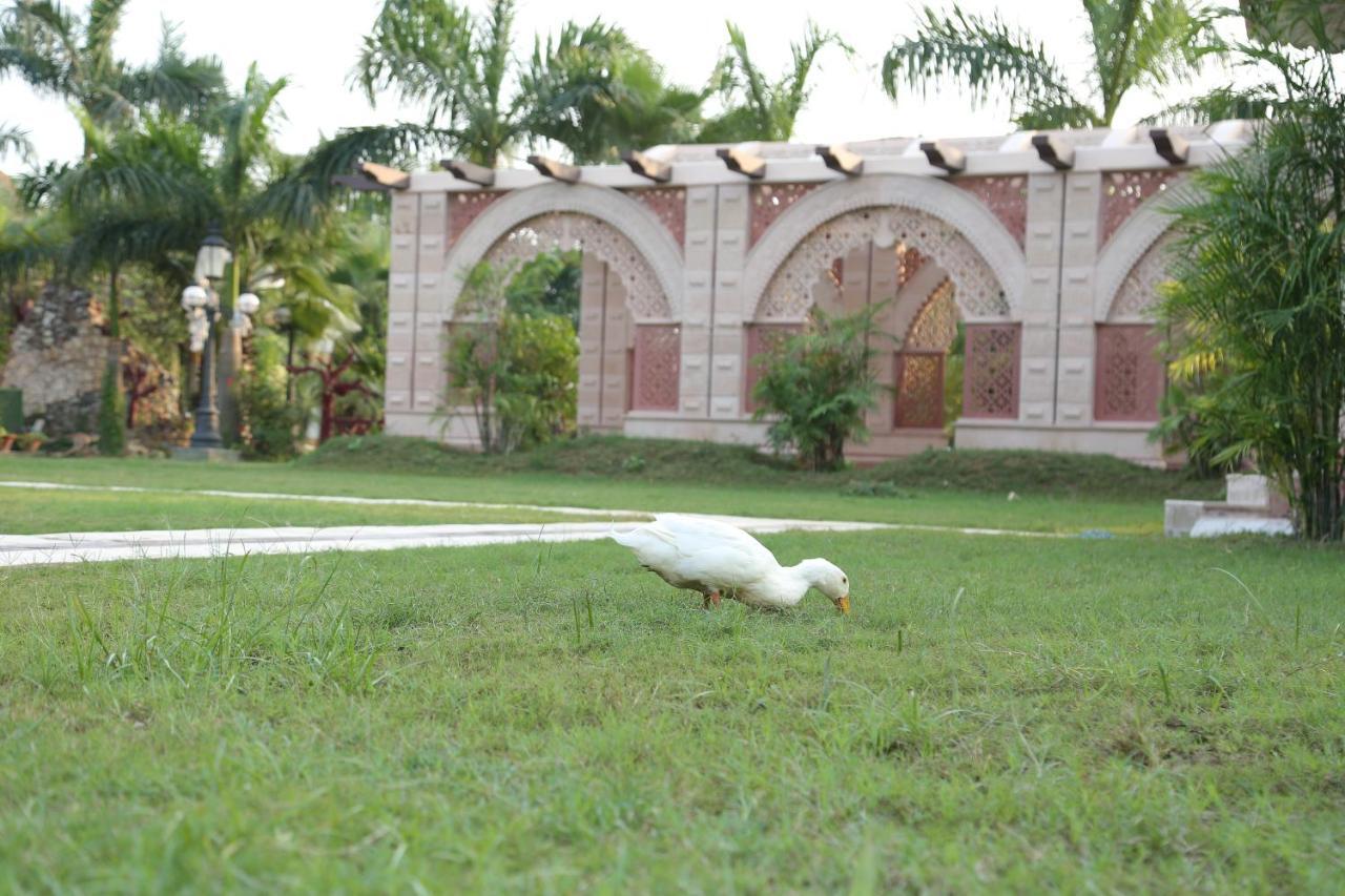 Mann The Palm Retreat Hotell Lucknow Exteriör bild