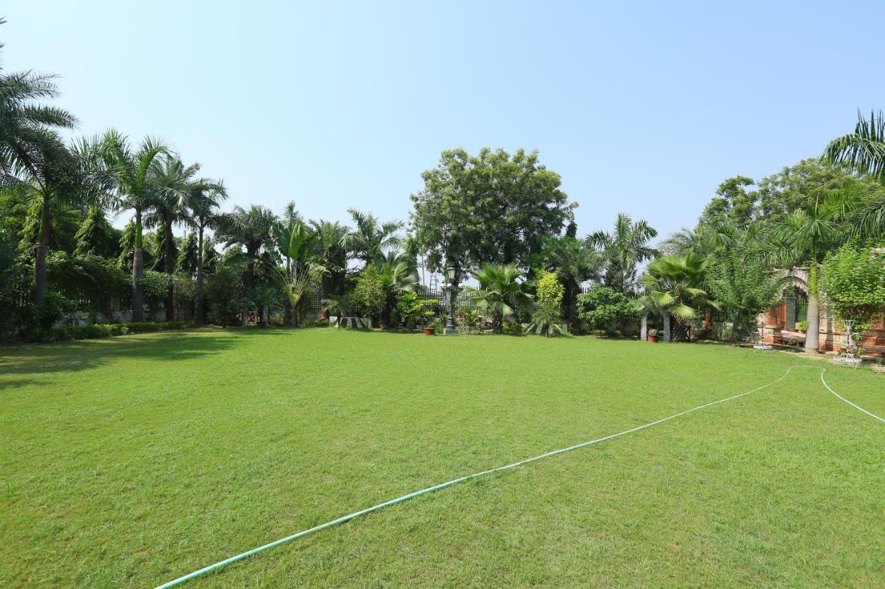 Mann The Palm Retreat Hotell Lucknow Exteriör bild